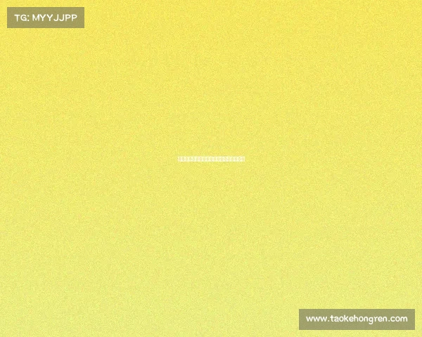 赛事申办市场部、赛事市场开发的主要流程